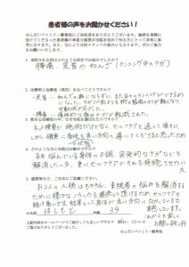 はしもと　腰痛　捻挫